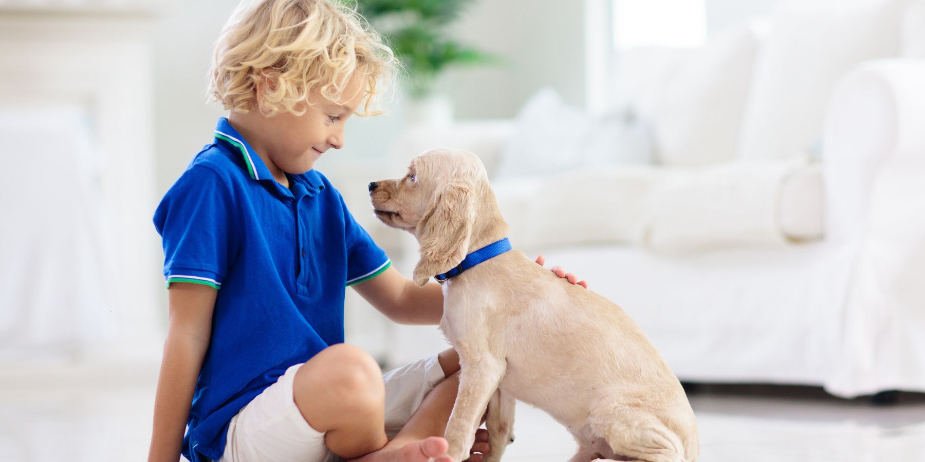 How to Help a Dog Adjust to Your New Home